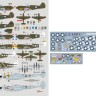 Dk Decals 72134 49th Fighter Group (10x camo) Part II. 1/72