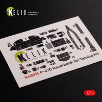 Reskit K48015 P-47D 'Razorback' interior 3D decals (TAM) 1/48