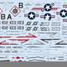 Eduard D48104 Decals F-14A Desert Storm (TAM) 1/48