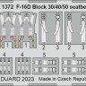 Eduard BIG49384 F-16D Block 30 (Kin) 1/48