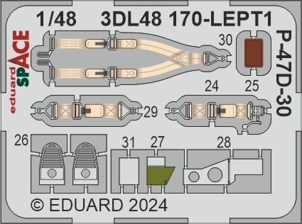 Eduard 3DL48170 P-47D-30 SPACE (MINA) 1/48