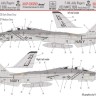 HAD DW32013 Decal F-14A Jolly Rogers Low Visibility 1/32