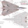 HAD DW32013 Decal F-14A Jolly Rogers Low Visibility 1/32
