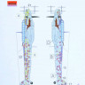 Lf Model M72100 Mask Bf 110G Camouflage painting (EDU,ITA,HP) 1/72