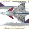 Model Maker Decals D48244 Czech Saab JAS-39C Gripen 20 Years of service 1/48