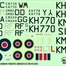 Model Maker Decals D48102 303 Squadron North-American P-51D Mustangs 1/48