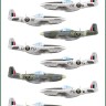 Model Maker Decals D48102 303 Squadron North-American P-51D Mustangs 1/48