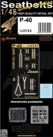 HGW 148599 Seatbelts P-40 (EDU) laser 1/48