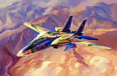 Hobby Boss 81771 F-14A Tomсat - IRIAF Persian cat 1/48