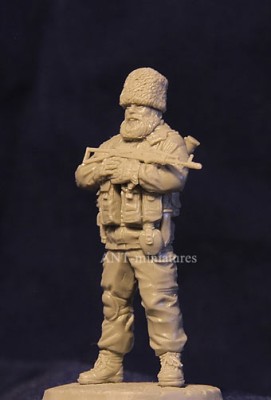 ANT 35-119 Militiaman of Donetsk (Babay) 2014