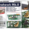 Eduard FE874 Tomahawk Mk.II seatbelts STEEL 1/48