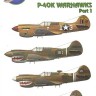 Barracuda Studios BC-48007 Curtiss P-40K Warhawks Pt 1 (4) 246040 White 13 64thFS, 57thFG Lt R.Johnson 'Jay' Tunisia 1943 1/48