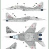 Model Maker Decals D48106 Mikoyan MiG-29 Heroes of Kosciuszko New paint scheme part 2 1/48