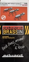 Eduard 6481082 BRASSIN P-40 250lb MC British bombs (EDU) 1/48