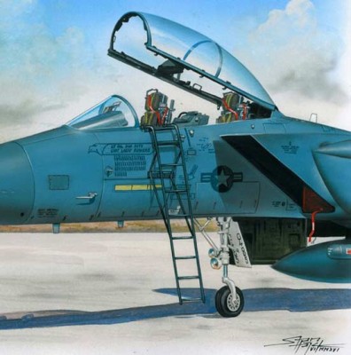 Plus model AL4060 1/48 Ladder for F-15 (plastic set)