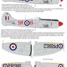 Aims AIMS48D044 Hawker Tempest Mk.II 1/48