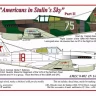 AML AMLC48002 Decals Americans in Stalin's Sky Part II 1/48