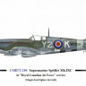 CZECHMASTER CMR-72184 1/72 Spitfire Mk.IXC in RCAF Service