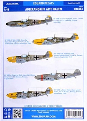 Eduard D48063 1/48 Decals ADLERANGRIFF: Alte Hasen (EDU)