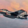 Sword 72094SE F3D-2 Skyknight (VF-11 / VMF(N)-513) 1/72