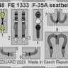 Eduard BIG49369 F-35A (TAM) 1/48