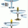 Barracuda Studios BC-72002 Republic P-47D Thunderbolt (3) 1/72