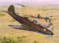 Special Hobby SH32028 P-39N/ Q Aircobra &quot;Soviet Gurad Regi. &quot; 1/32