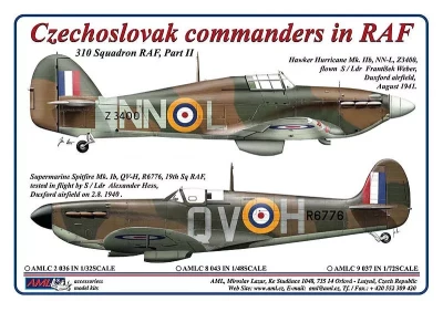 AML AMLC48043 Decals Czechoslovak commanders in RAF 1/48