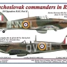 AML AMLC48043 Decals Czechoslovak commanders in RAF 1/48