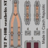 Eduard 49787 P-40B seatbelts STEEL 1/48
