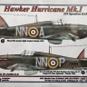 AML AMLC144021 Decals 310 th Squadron RAF - Part I 1/144