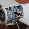 Sbs Model 72097 F2A-1 Buffalo / B-239 Wheel bay (HAS/H.2000) 1/72
