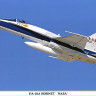 Hasegawa 07384 F/A-18A Hornet "NASA" 1/48