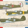 Special Hobby S72486 P-40M Warhawk 'Invol. from Russia to Finland' 1/72