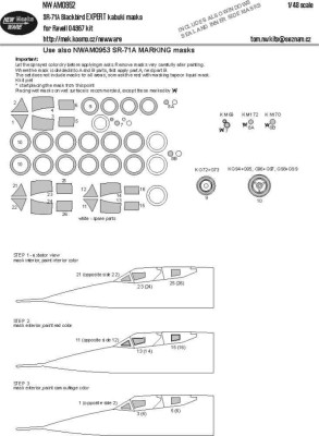 New Ware NWA-M0952 Mask SR-71A Blackbird EXPERT (REV) 1/48