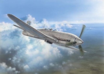 Special Hobby SH32045 Heinkel He 100D &quot;Soviet and Japanes&quot; 1/32