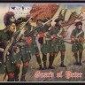 Strelets STR03172 The Russian Guard of Peter 1st 1/72