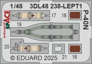 Eduard 3DL48238 P-40N SPACE (EDU) 1/48
