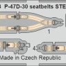 Eduard BIG49410 P-47D-30 (MINA) 1/48