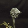 Metallic Details MDR48277 Gnome-Rhone 14N (3d-printed) 1/48