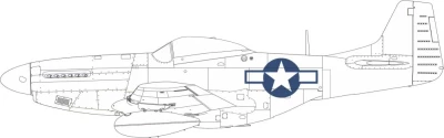 Eduard EX954 Mask P-51D national insignia (EDU) 1/48