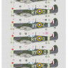 Dk Decals 32015 Spitfire MkVB - No313 Sqn (6x camo) Part 2 1/32