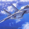 Hasegawa 015326 F-14A Tomcat (Low Visibility) 1/72