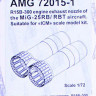 AMG-72015-1_L.jpg