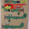 Kora Model DEC72243 Polikarpov Po-2 (Luftwaffe service) декали декали 1/72
