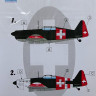 LF Model M4803 Mask D-3800/D-3801 over Swiss (AZMO/CAF) 1/48