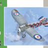 Special Hobby SH32060 Bristol M.1C “Checkers & Stripes” 1/32