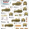 Star Decals 72-A1143 Frundsberg # 1.10. SS-Panzer Division.Sd.Kfz.250 'ALT' and 'NEU' versions.Sd.Kfz.250/1, Sd.Kfz.250/3, Sd.Kfz.250/9, Sd.Kfz.250/7(?) 1/72