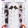 Lf Model M3243 Mask Henschel Hs 123A-1 Camouflage painting 1/32