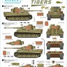 Star Decals STAR35992 DAK/Afrika Korps Pz.Kpfw.VI Tigers #1 s.Pz-Abt 501 and 10 Panzer Division 1/35